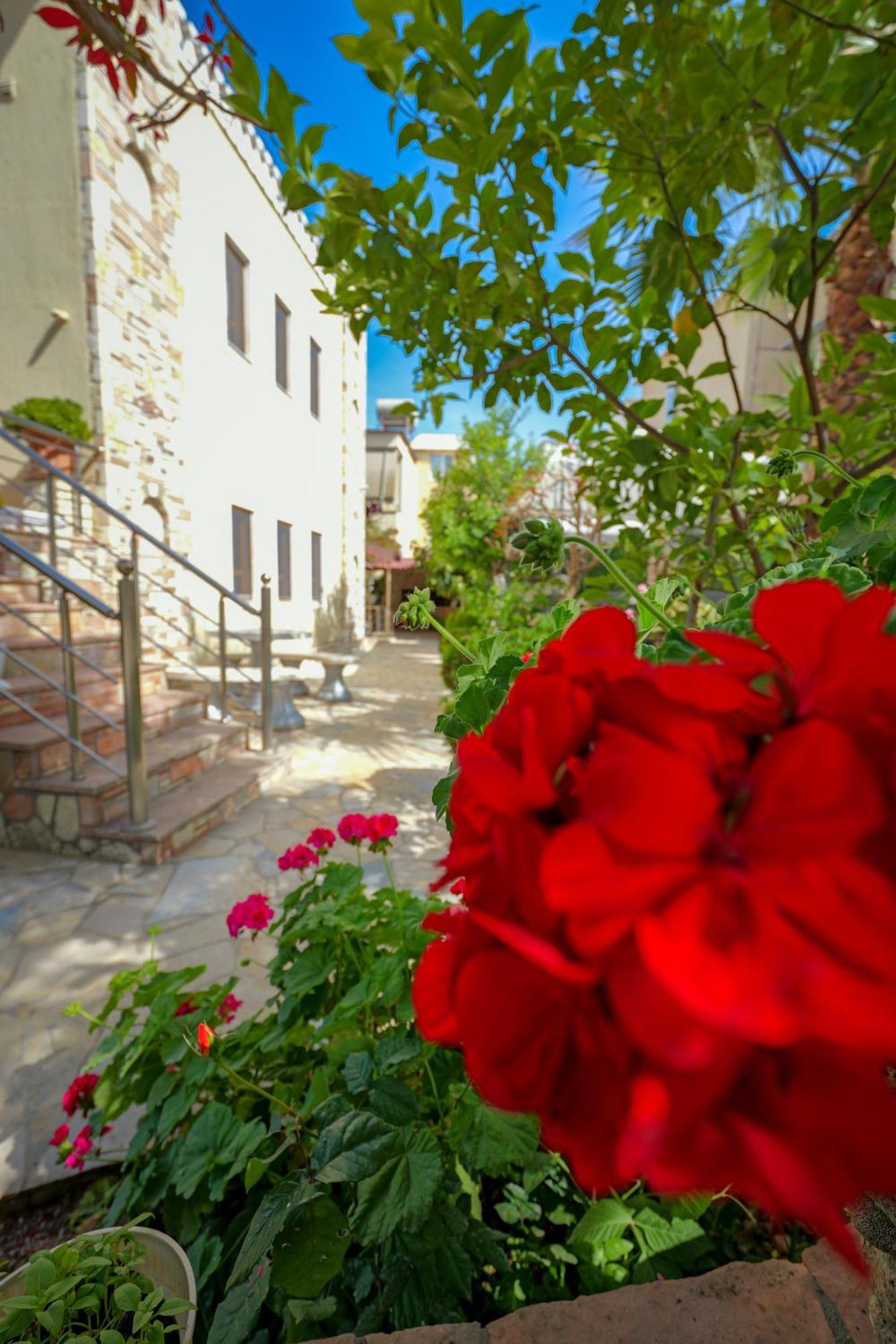 Villa Agur Kapo كساميل المظهر الخارجي الصورة